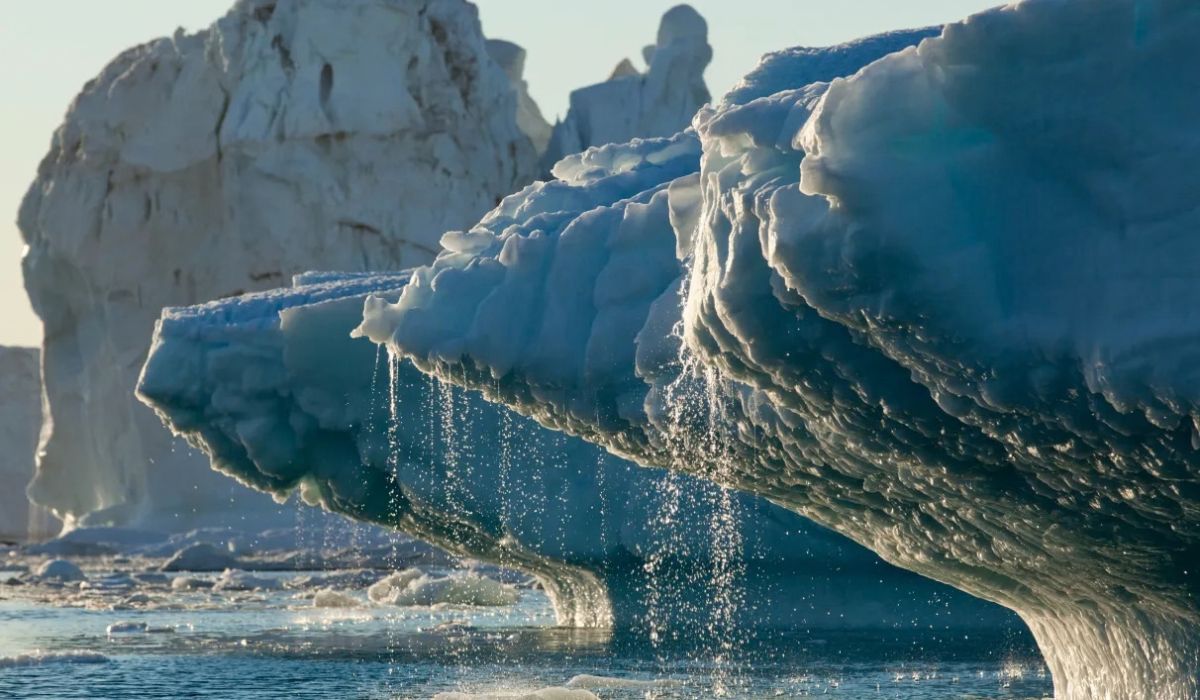 (Image: Paul Souders/Getty Images)