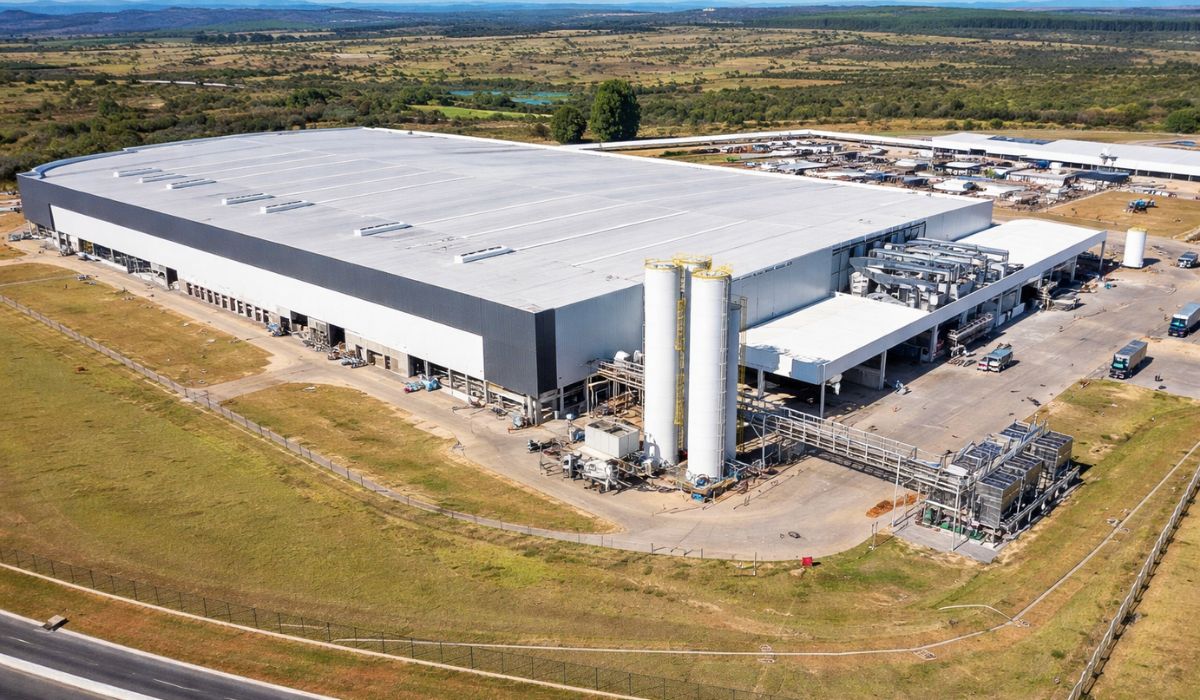 (Image: Illustration/I.A)