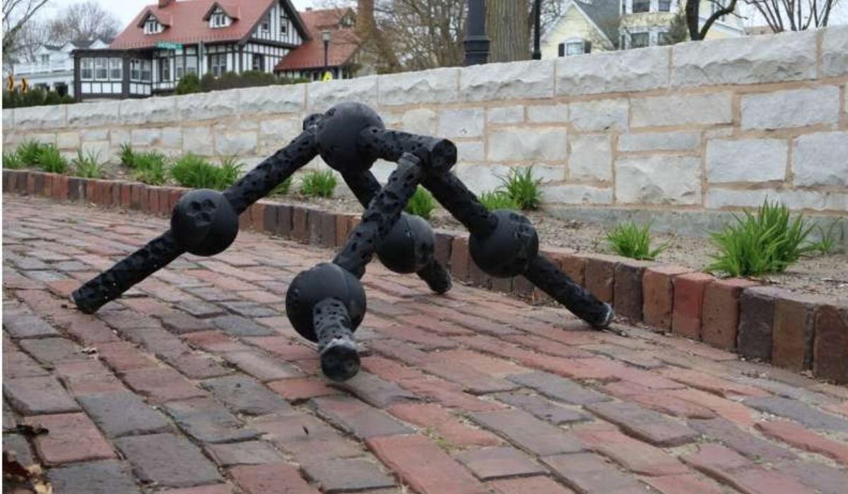 (Image: Sam Kriegman/Northwestern University)