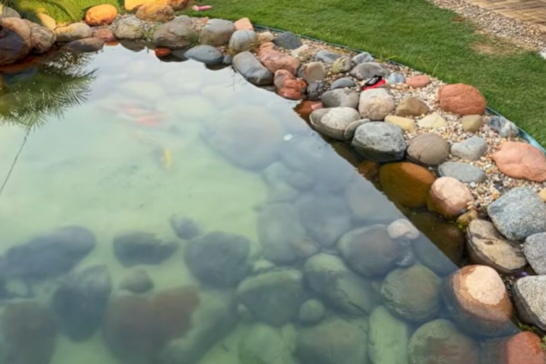 Farm Owner Reveals the Reality of Having a Pond at Home After 2 Years, Highlighting Hidden Costs, Monthly Maintenance, Energy Bill, Equipment Replacement