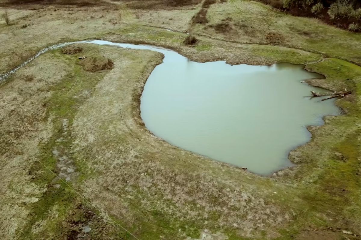 Fazenda constrói enorme lago artificial após descobrir camada profunda de argila, supera falhas de máquinas e desafios no solo e transforma área seca em paisagem (1)