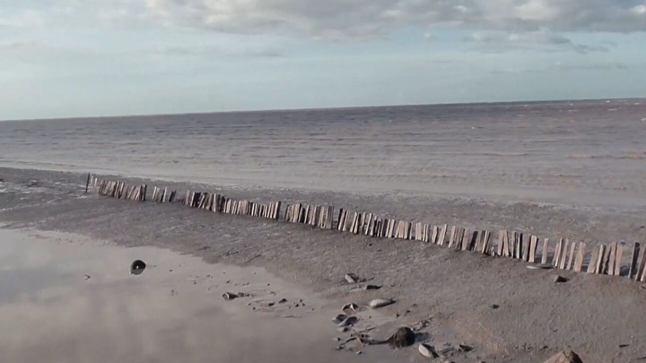 Suriname uses permeable dikes to contain coastal erosion, recover mangroves, and reduce land loss of up to 27 meters per year.