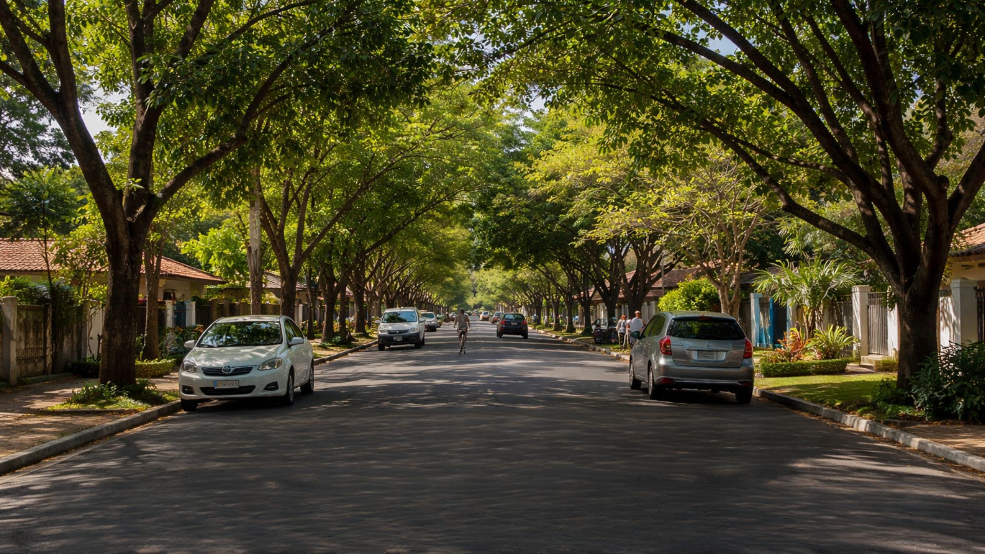 Campo Grande lidera ranking do IBGE: 91,4% da população vive em ruas arborizadas. Dado do Censo 2022 revela cenário urbano raro entre capitais brasileiras.