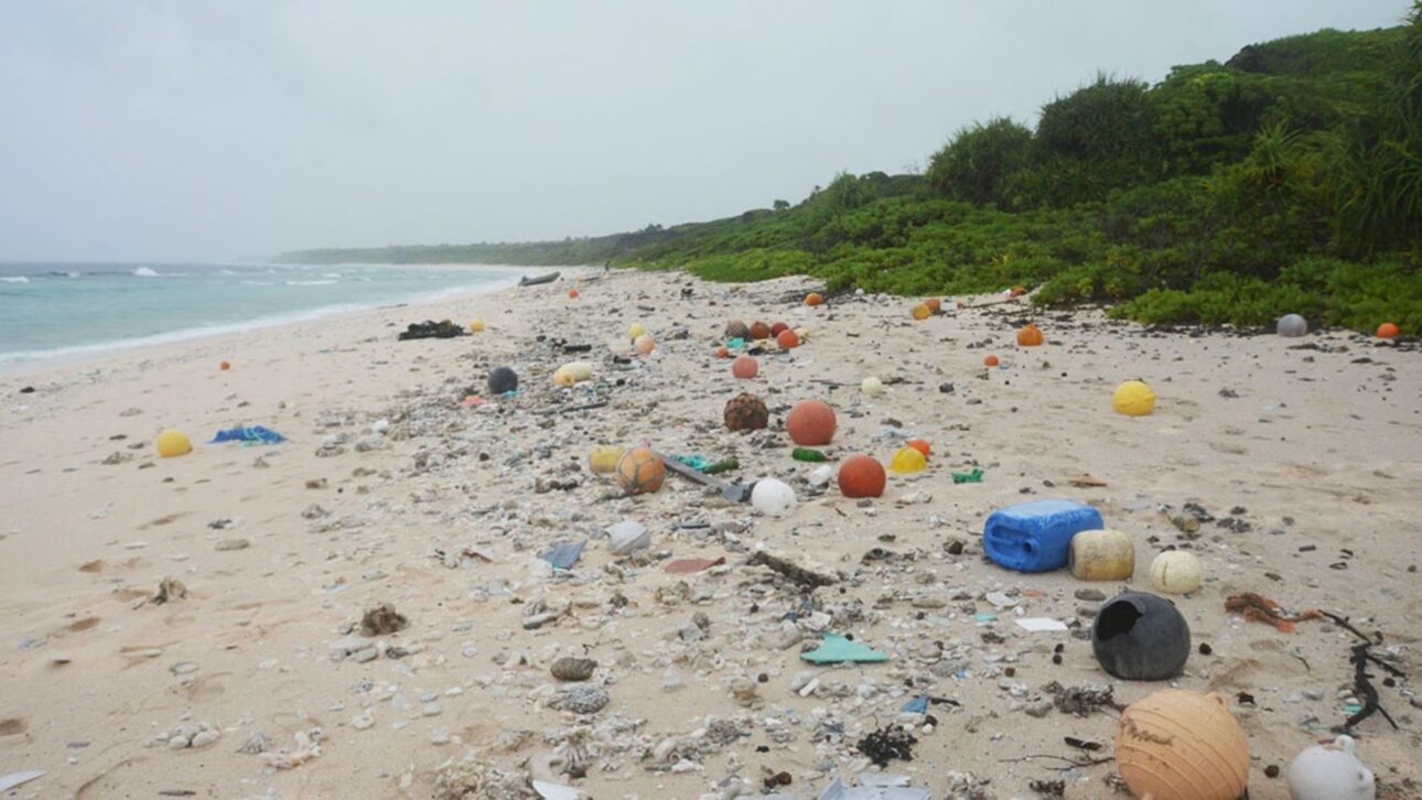 Ship-laboratory removes 9.3 tons of plastic from Henderson Island and inspires global action from UNESCO to clean marine sanctuaries.