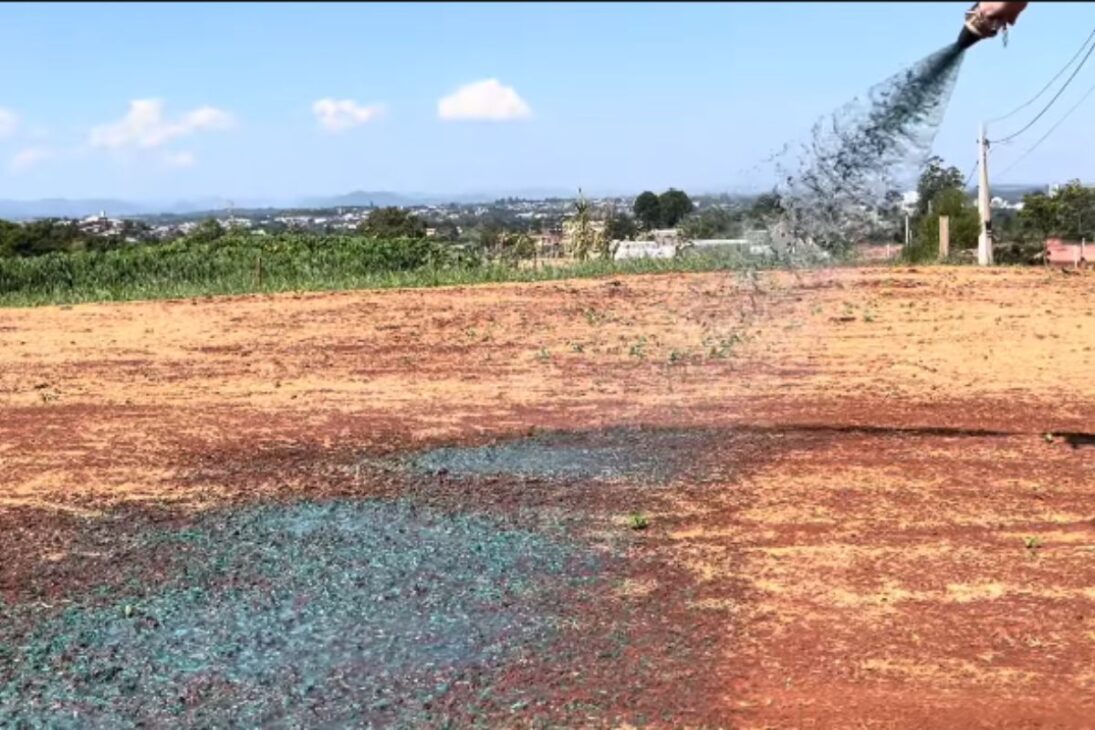 Liquid grass with hydroseeding costs less than the sod and facilitates slopes and inclined lands with more practical green coverage.