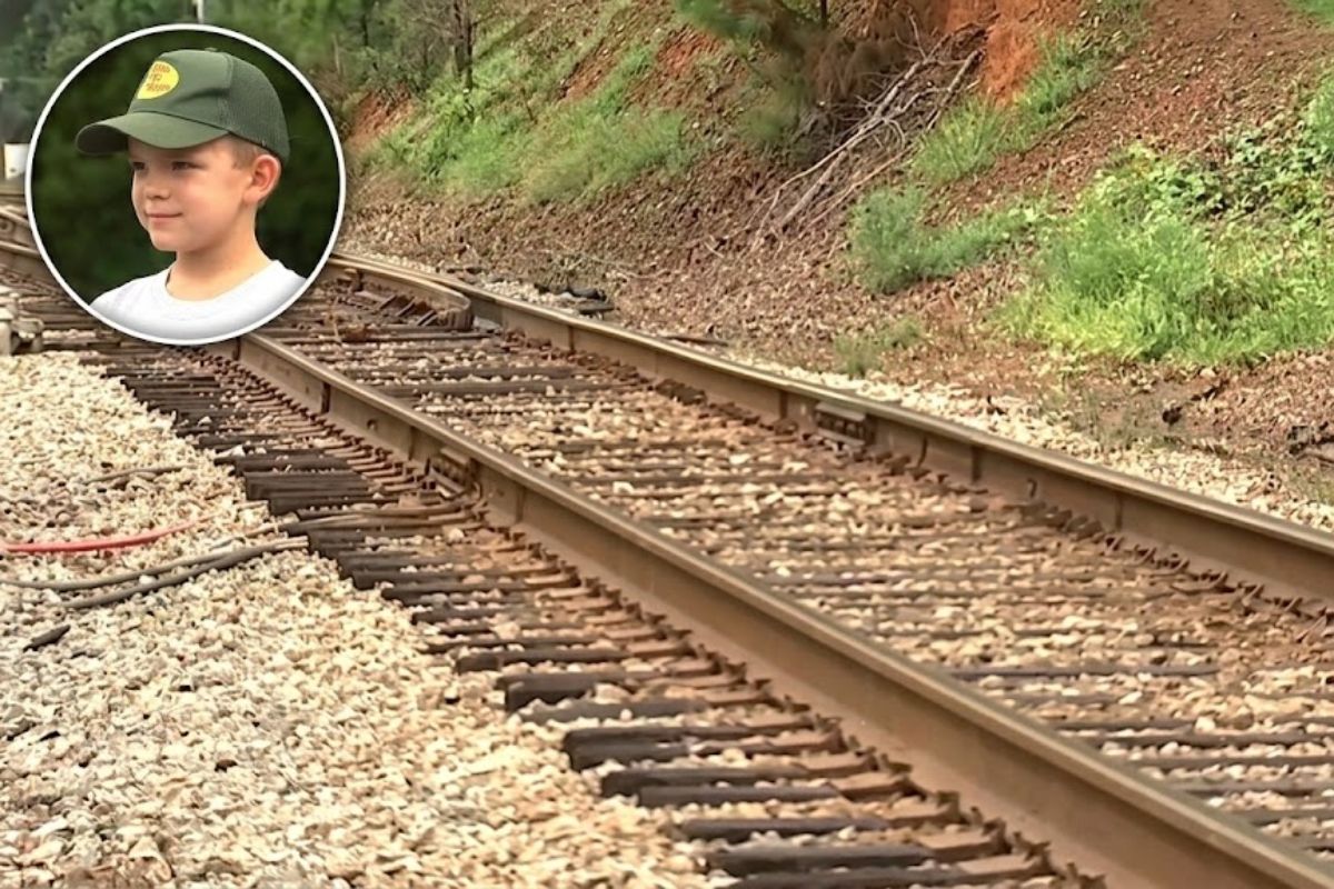 Após alerta de menino, trem para nos trilhos com freio de emergência e evita descarrilamento por árvore caída.