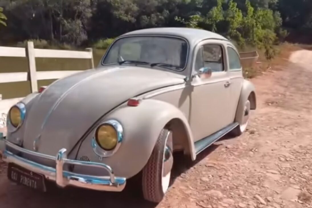 1970 Beetle in rescue turns classic: restoration with electrical system and showroom paint after almost 20 years sitting.