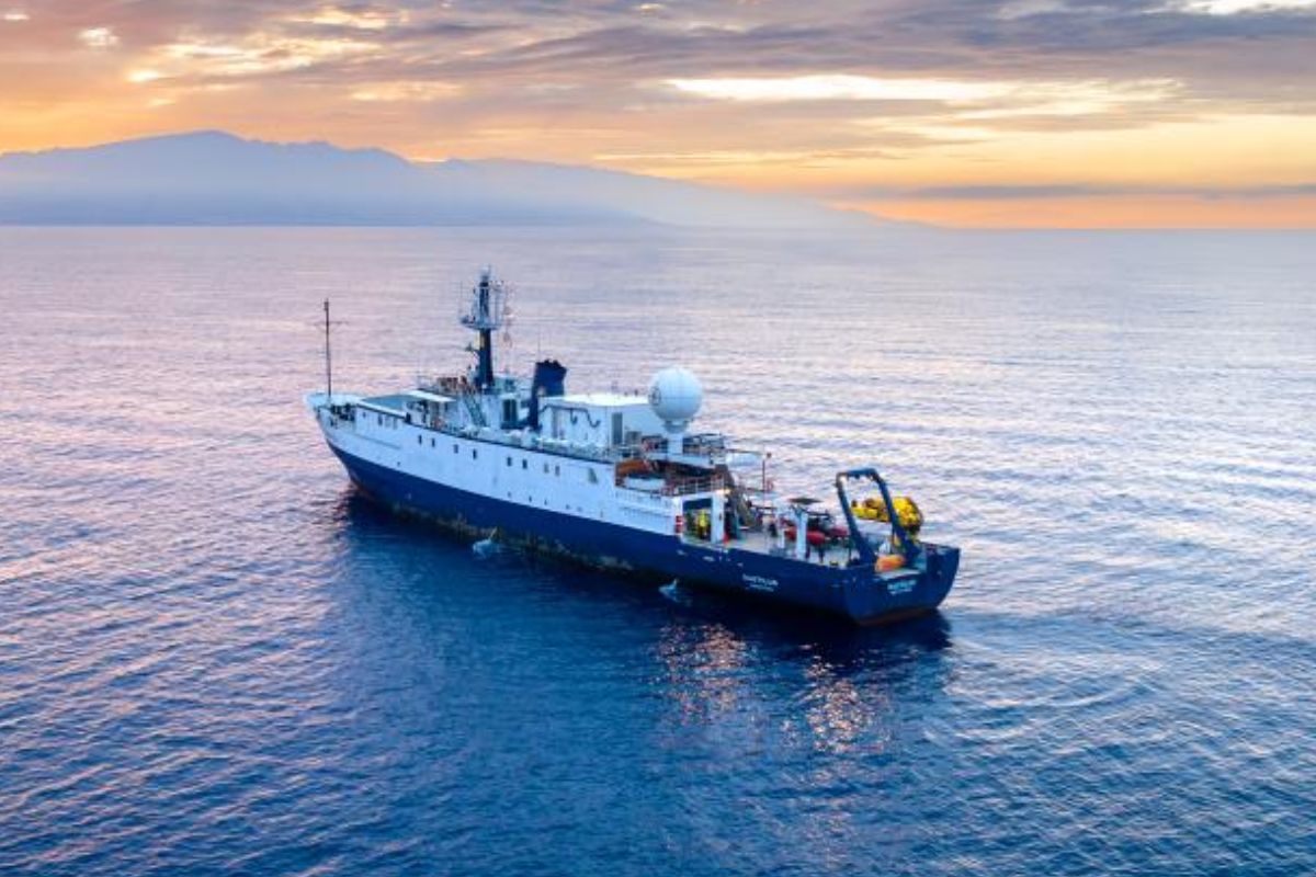 Navio científico passa 6 meses explorando o Pacífico, mergulha até 5.200 metros, encontra criaturas raras, vulcões ativos, naufrágios da guerra e revela mais de 400 espécies (2)