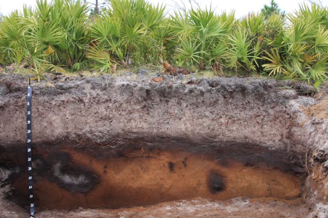Florida slowly sinks over limestone, forms sinkholes, maintains thousands of lakes, and coexists with a high aquifer that alters soil, neighborhoods, and ecosystems.