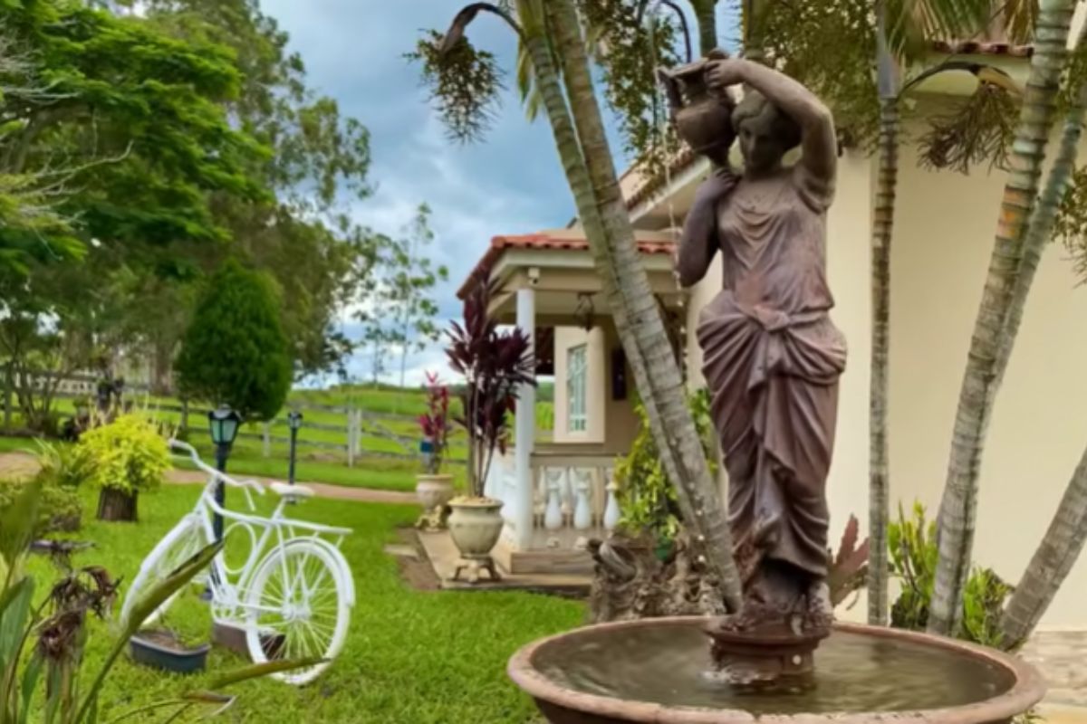 Sítio escondido em Candeias, Minas Gerais, vira paraíso com roda d’água, móveis de madeira reaproveitada, jardim de orquídeas e artesão que garante viver 80% melhor na roça que na cidade