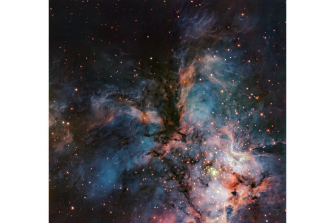 Colossal hawk emerges in the RCW 36 nebula as brown dwarfs and stellar nursery help explain the cosmic image.