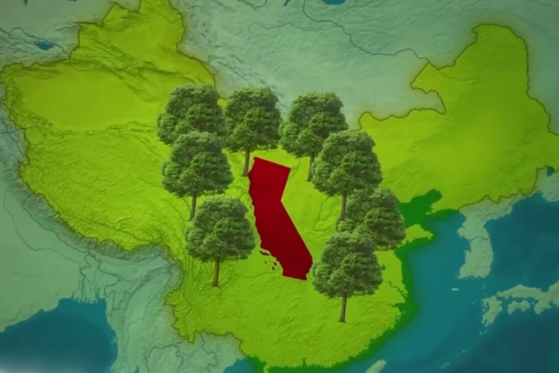 Gobi Desert shows how China used straw to trap dunes and slow down desertification with a simple technique validated by satellites.