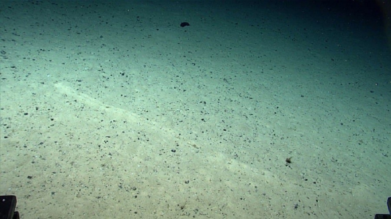 At 2,540 meters deep in the Mesoatlantic Ridge, NOAA scientists found rows of perfectly aligned holes at the bottom of the ocean, each surrounded by small mounds of sediment, the pattern is so precise it appears artificial, but to this day no one knows what created them.