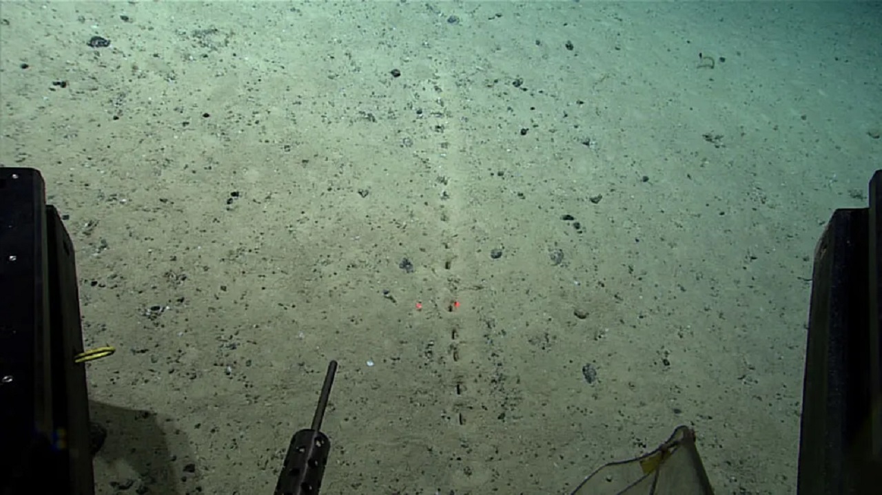 At 2,540 meters deep in the Mesoatlantic Ridge, NOAA scientists found rows of perfectly aligned holes at the bottom of the ocean, each surrounded by small mounds of sediment, the pattern is so precise it appears artificial, but to this day no one knows what created them.
